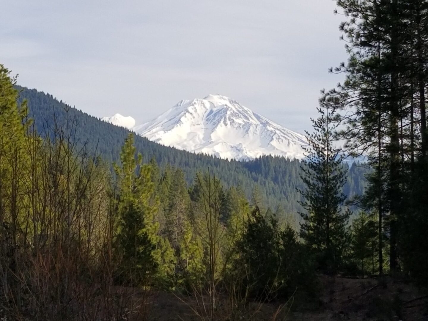 Scenic view of Mountain covered with snow