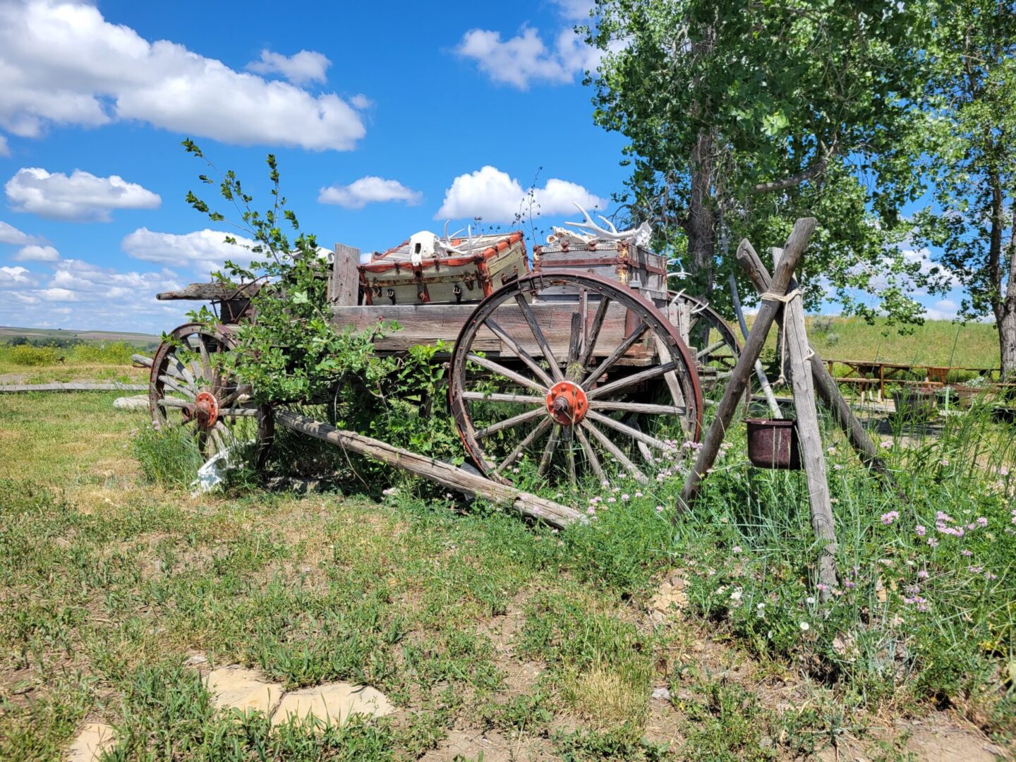 An old wooden buckboard wagon