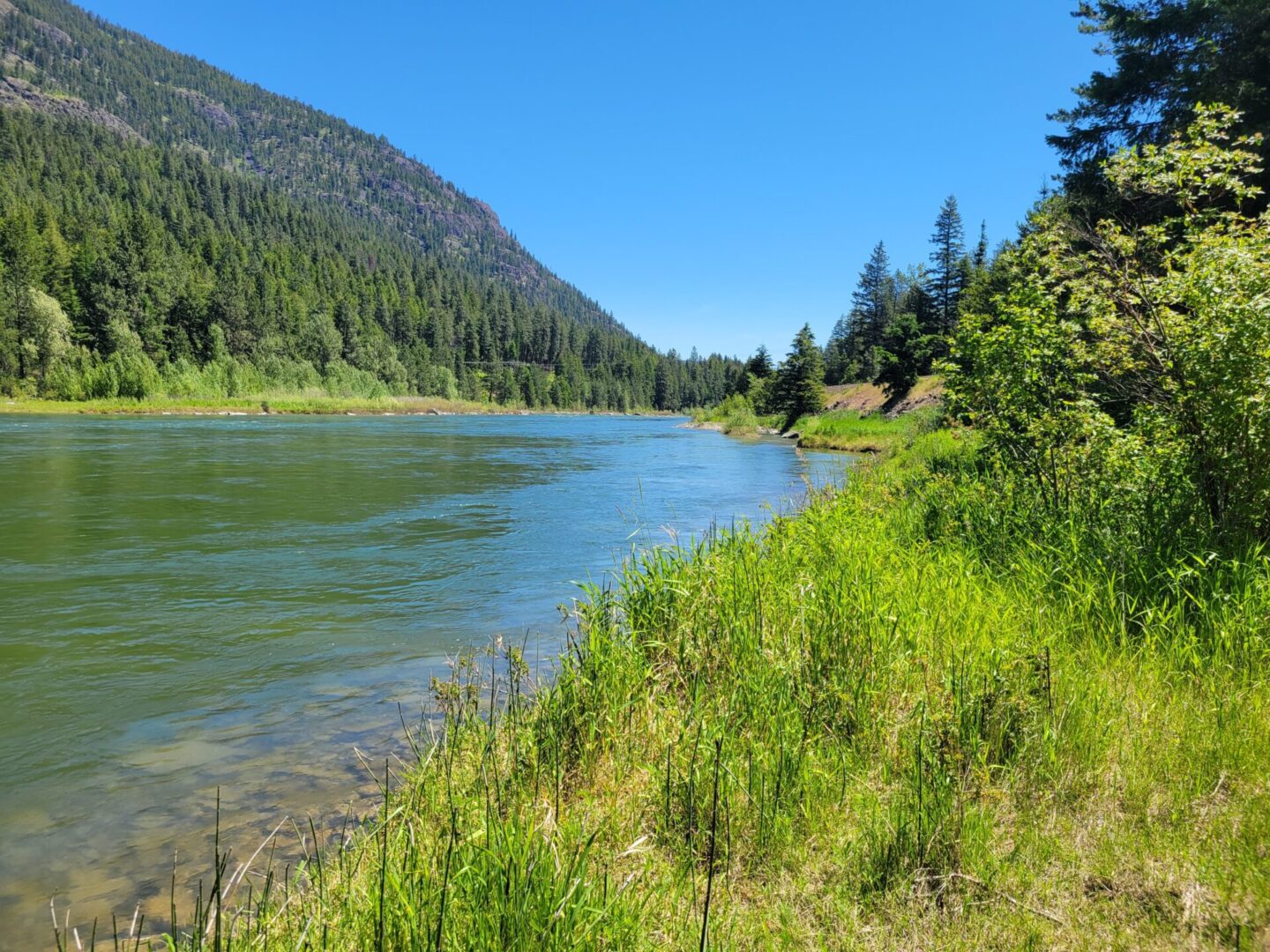 Typical lake landscape